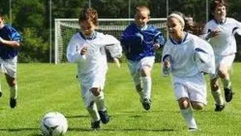 开云中国Kaiyun 资讯 083156 y8u