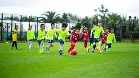 “世界杯决赛观看人数37亿？FIFA夸大其词，事实令人惊讶！”