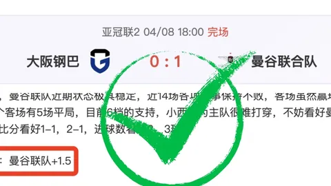 阿莱格里谈普利希奇成长路：巅峰之路艰辛，莱奥蜕变非全由我塑造