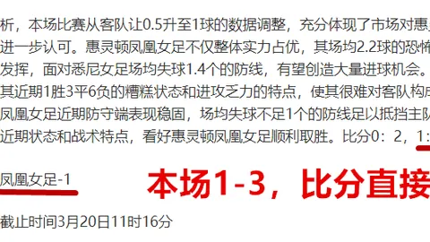 烏度卡：范弗利特把握良机，投篮自信满满
